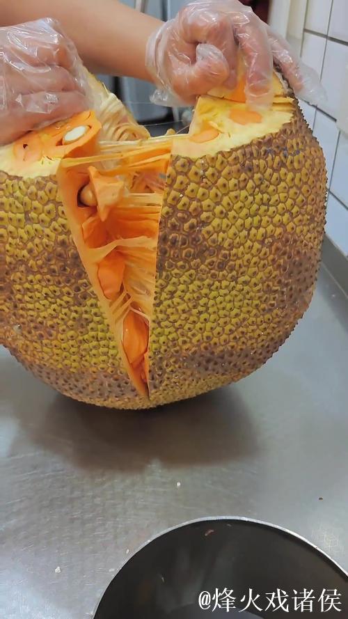 菠萝蜜视频播放器:开启多彩视界之旅 菠萝蜜视频播放器:开启多彩视界之旅